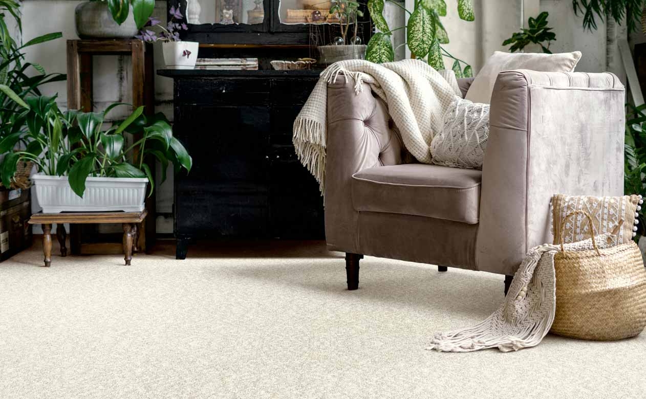 patterned carpet in room filled with plants